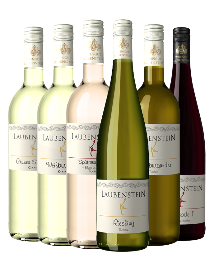 Sortiment 1  6 Fl. trockene Weine