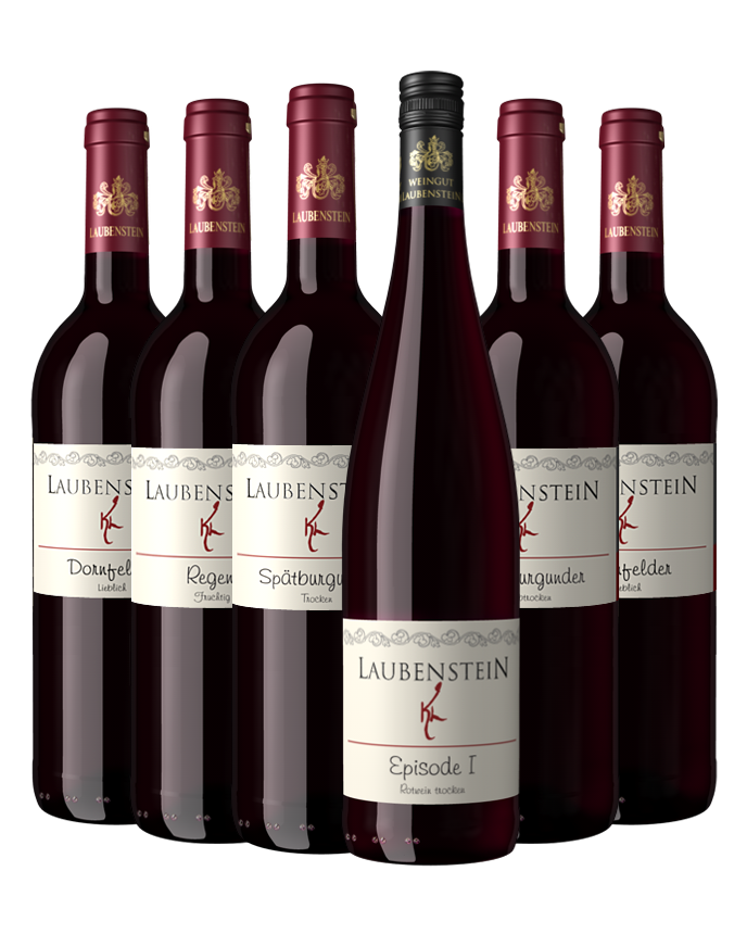 Sortiment 4  6 Fl. Rotwein